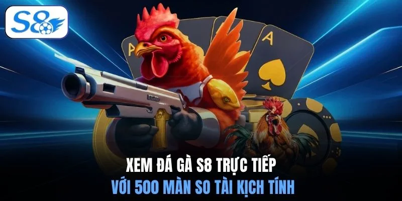 Xem đá gà S8 trực tiếp với 500 màn so tài kịch tính